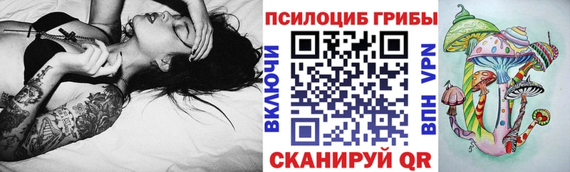 Псилоцибиновые грибы мицелий  Купить где  Кандалакша 